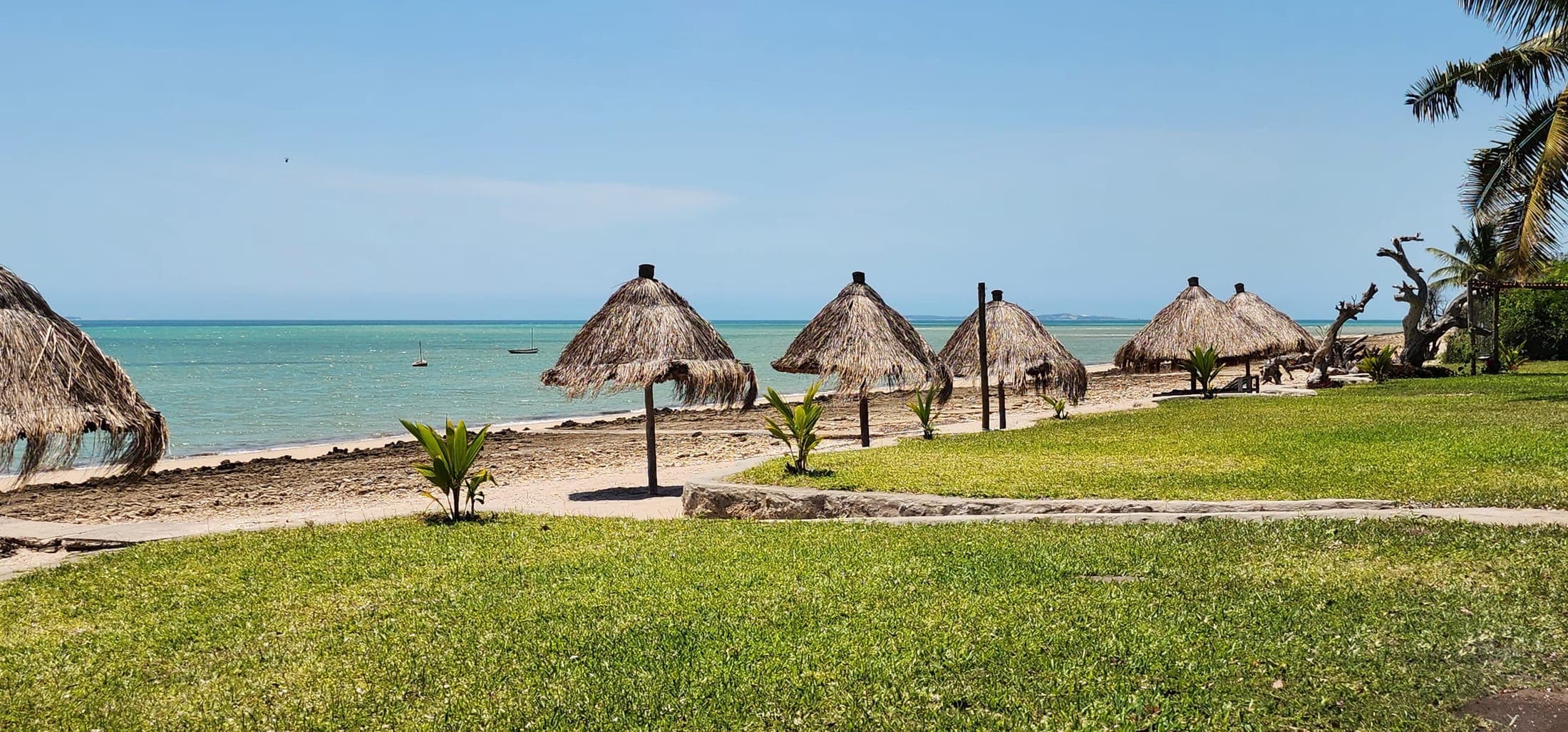 Beachfront lawn with thatch umbrellas