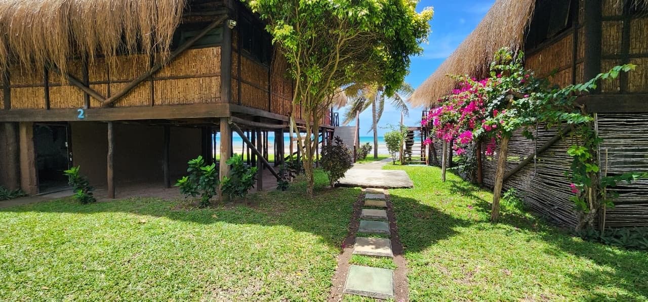 Garden path between the casas, with bougainvillea and the sea beyond
