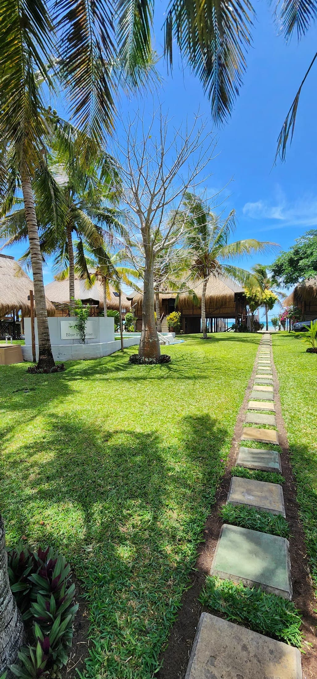 Stepping-stone path through the lawns to the beach