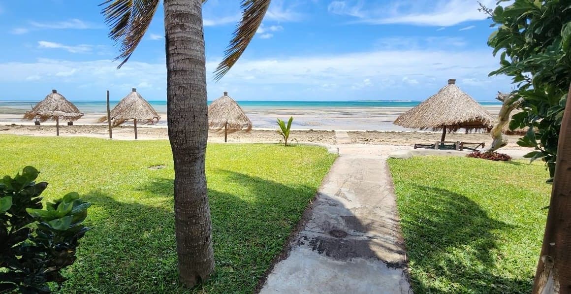 Lawn path down to the beach umbrellas