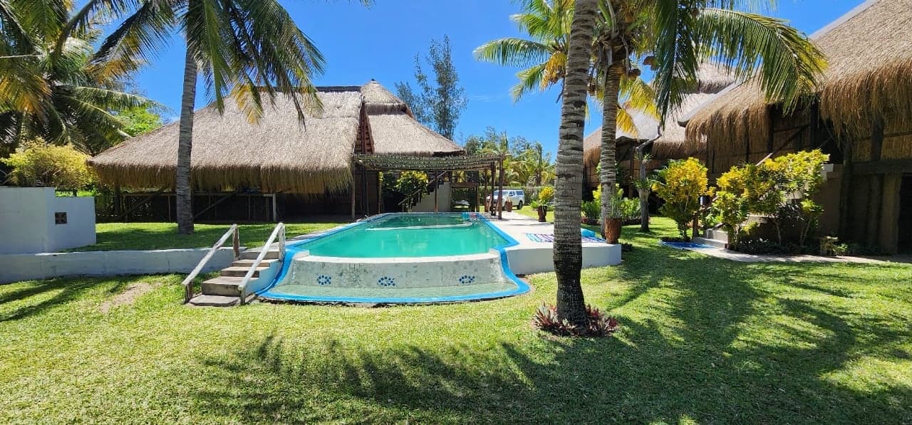 The pool under the palms, with the thatched casas behind