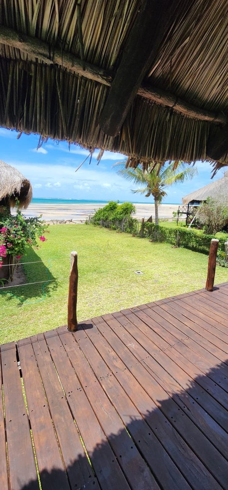 The deck, the lawn and the beach from under the thatch