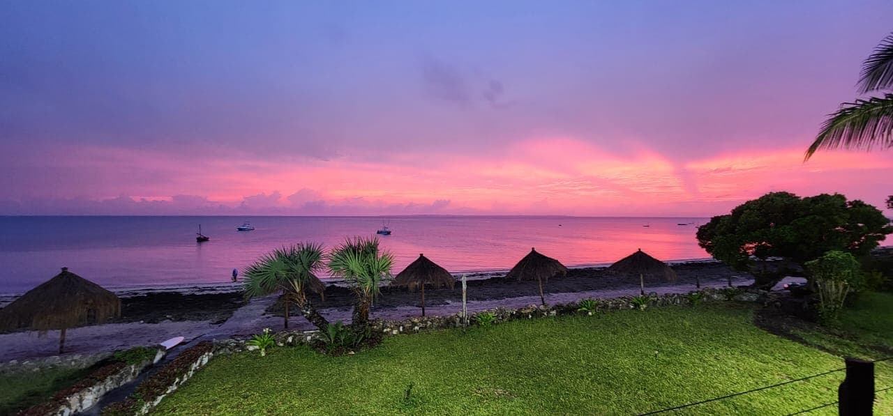Pink sunset over the beach umbrellas