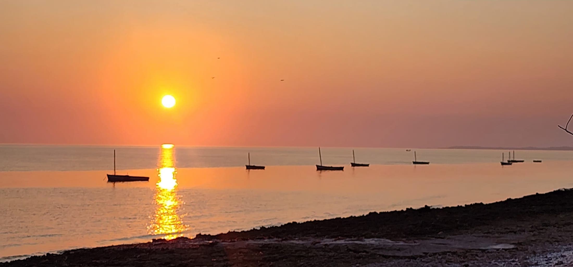 Sunrise over traditional dhows anchored off the beach